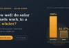 How Well Do Solar Panels Work During Winter in New Zealand?